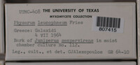 Image Associated With the Occurence